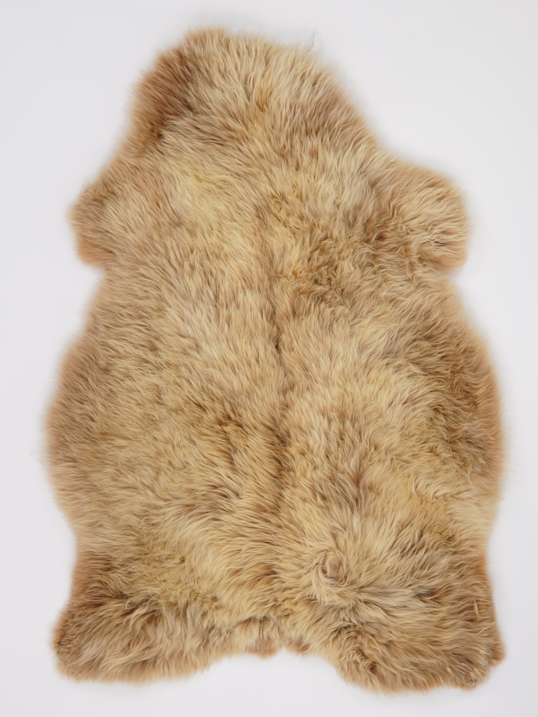 Įvairiaspalvis avikailis XL