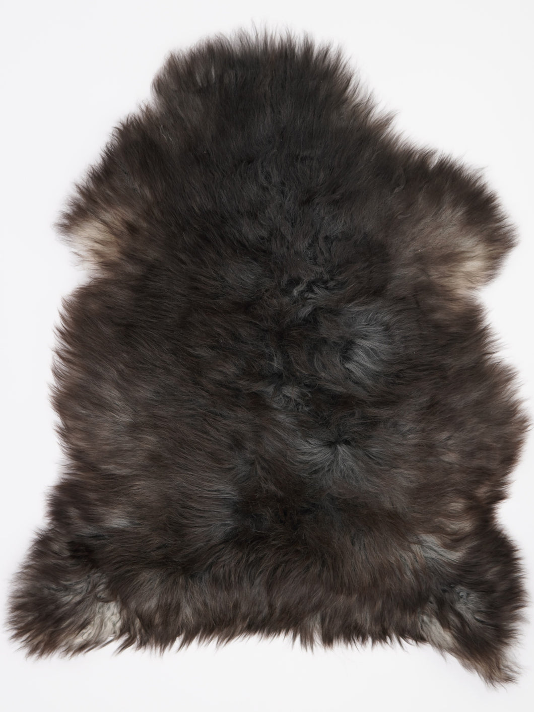 Įvairiaspalvis avikailis XL