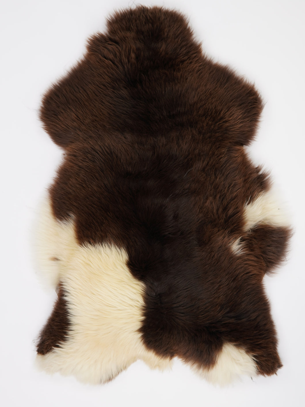 Įvairiaspalvis avikailis XL