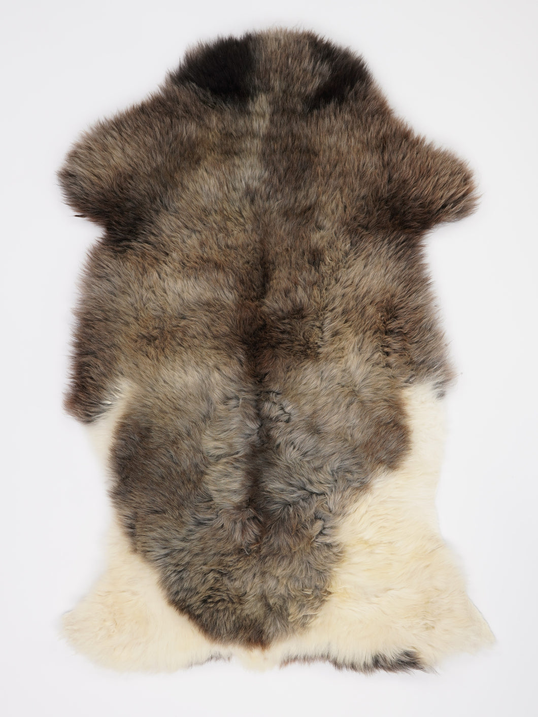 Įvairiaspalvis avikailis XL