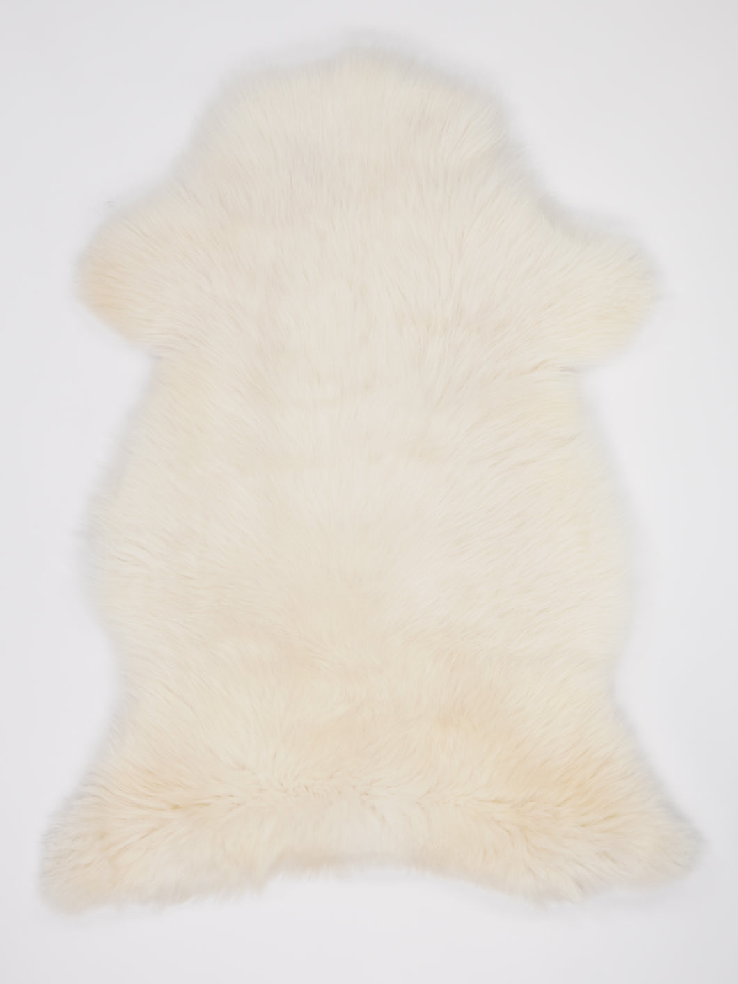 Skandinaviškas baltas avikailis XL