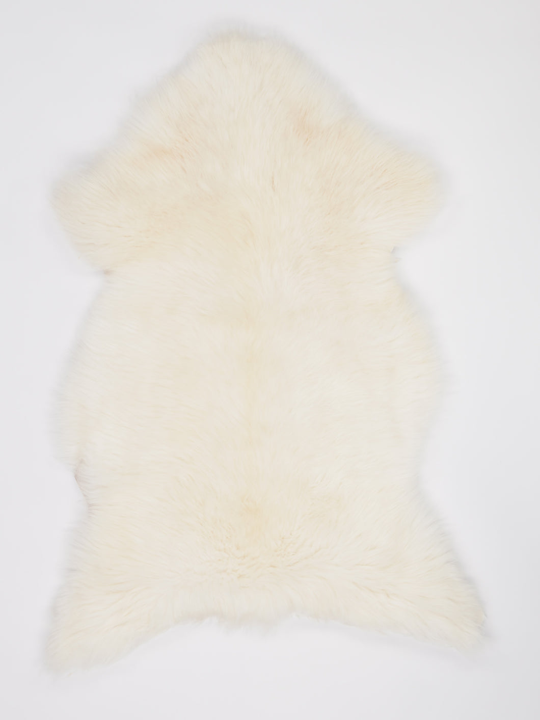 Skandinaviškas baltas avikailis L