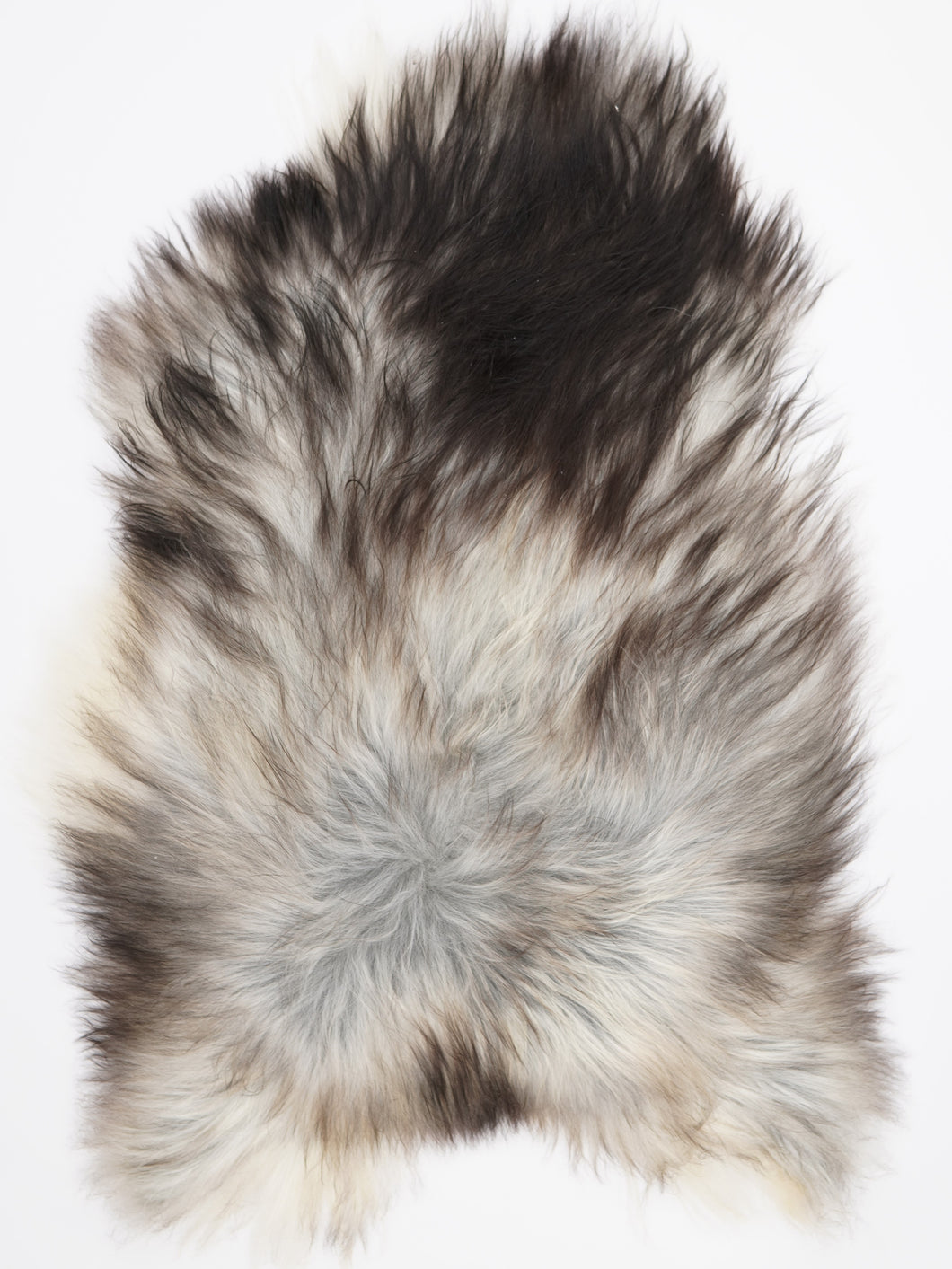 Pilkas islandiškas avikailis XXL