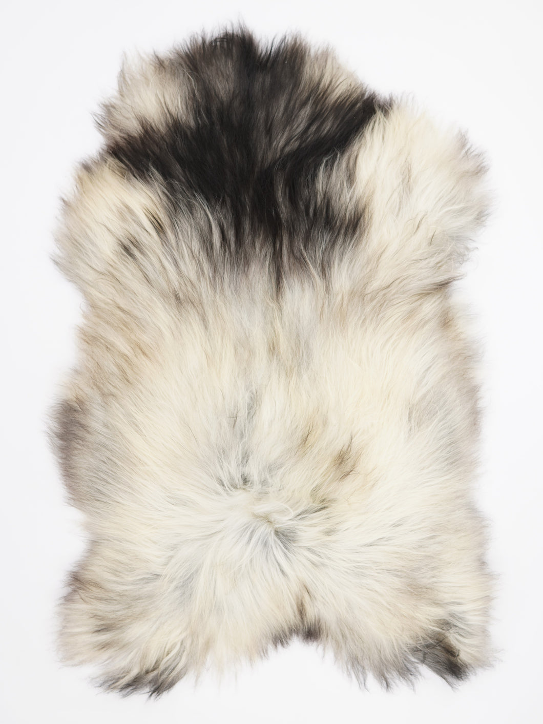 Islandská ovčí kůže XXL