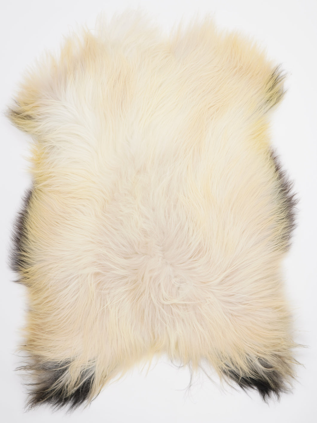 Islandská ovčí kůže XL