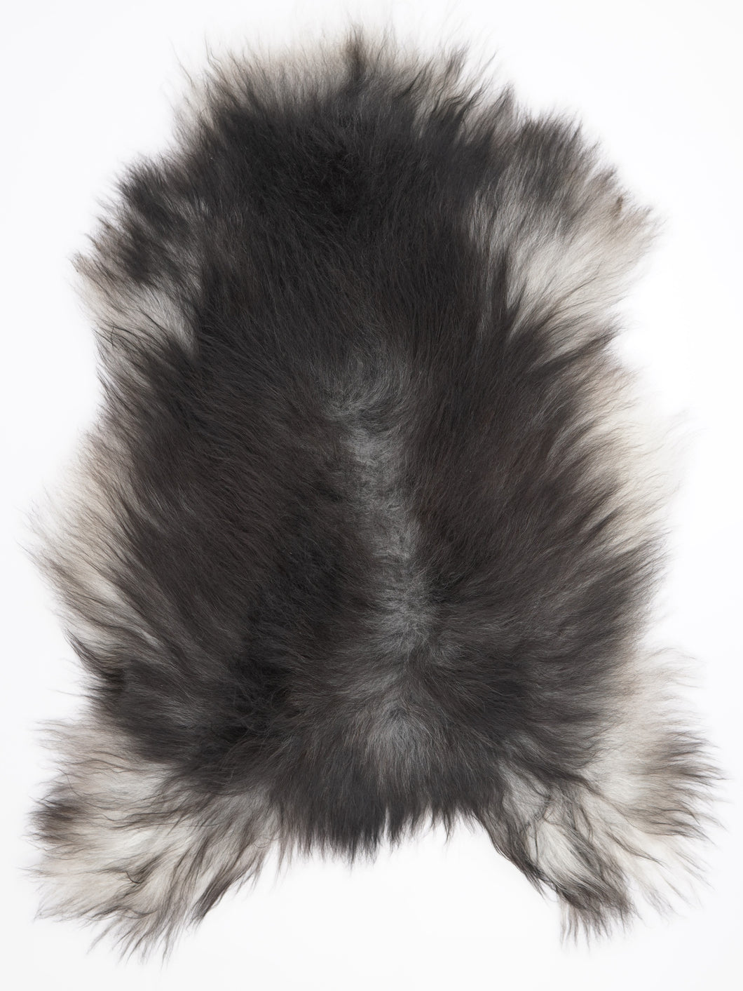 Pilkas islandiškas avikailis XXL