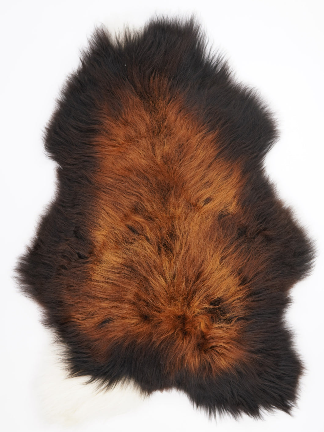 Islandská ovčí kůže XXL