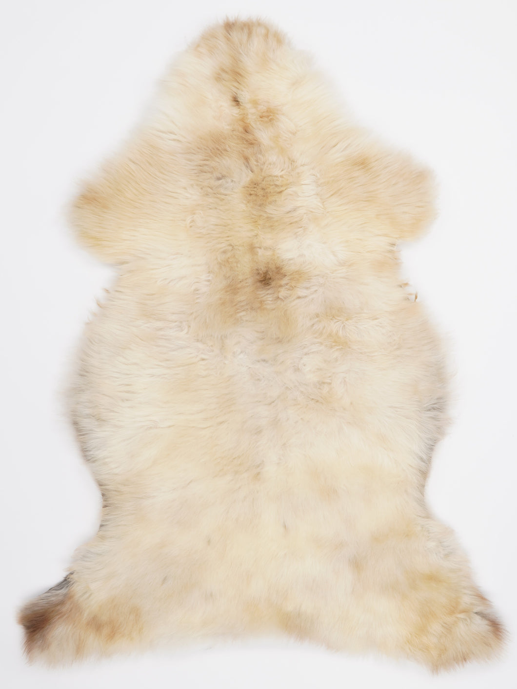 Įvairiaspalvis avikailis XL