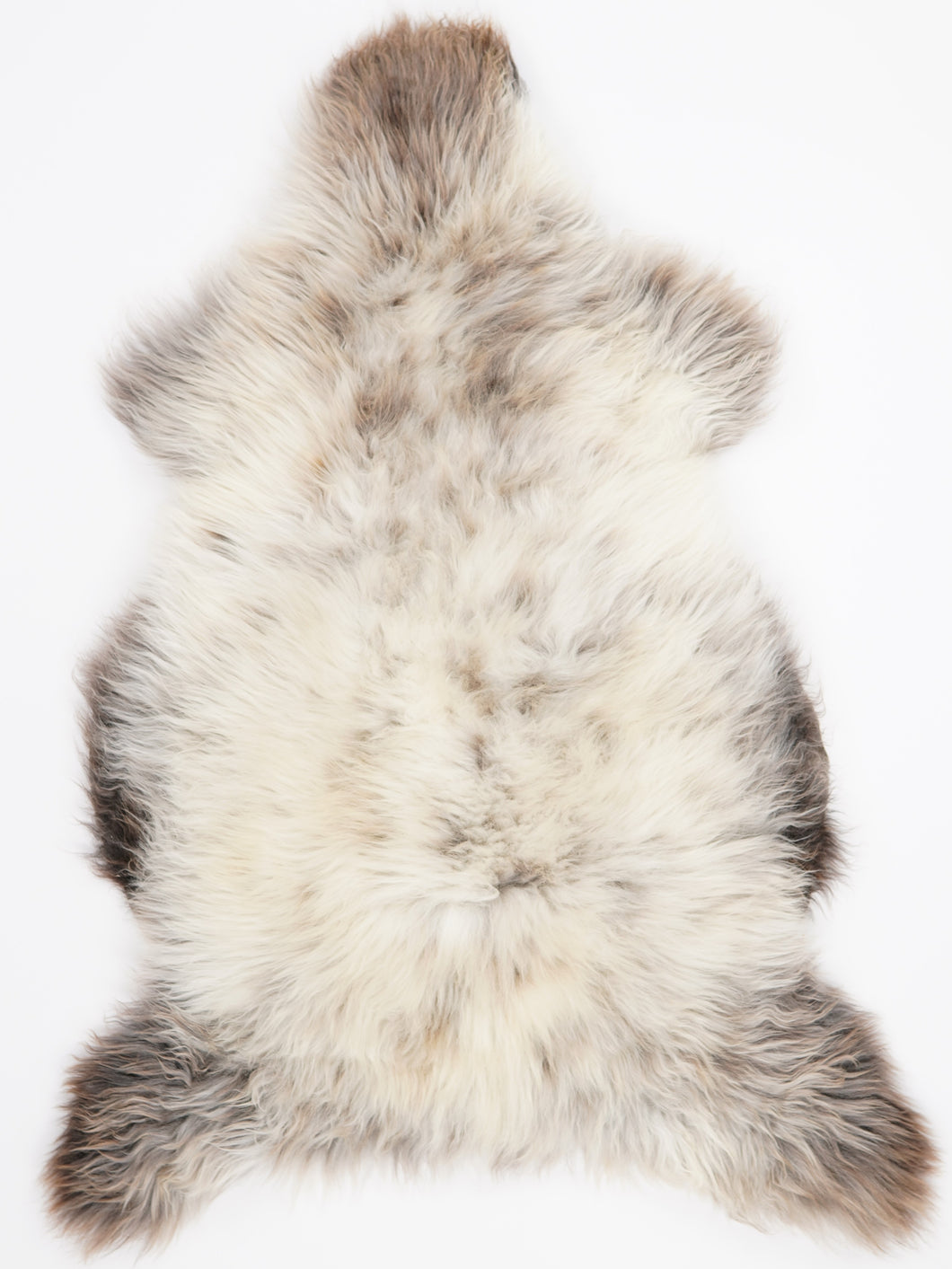 Įvairiaspalvis avikailis XXL