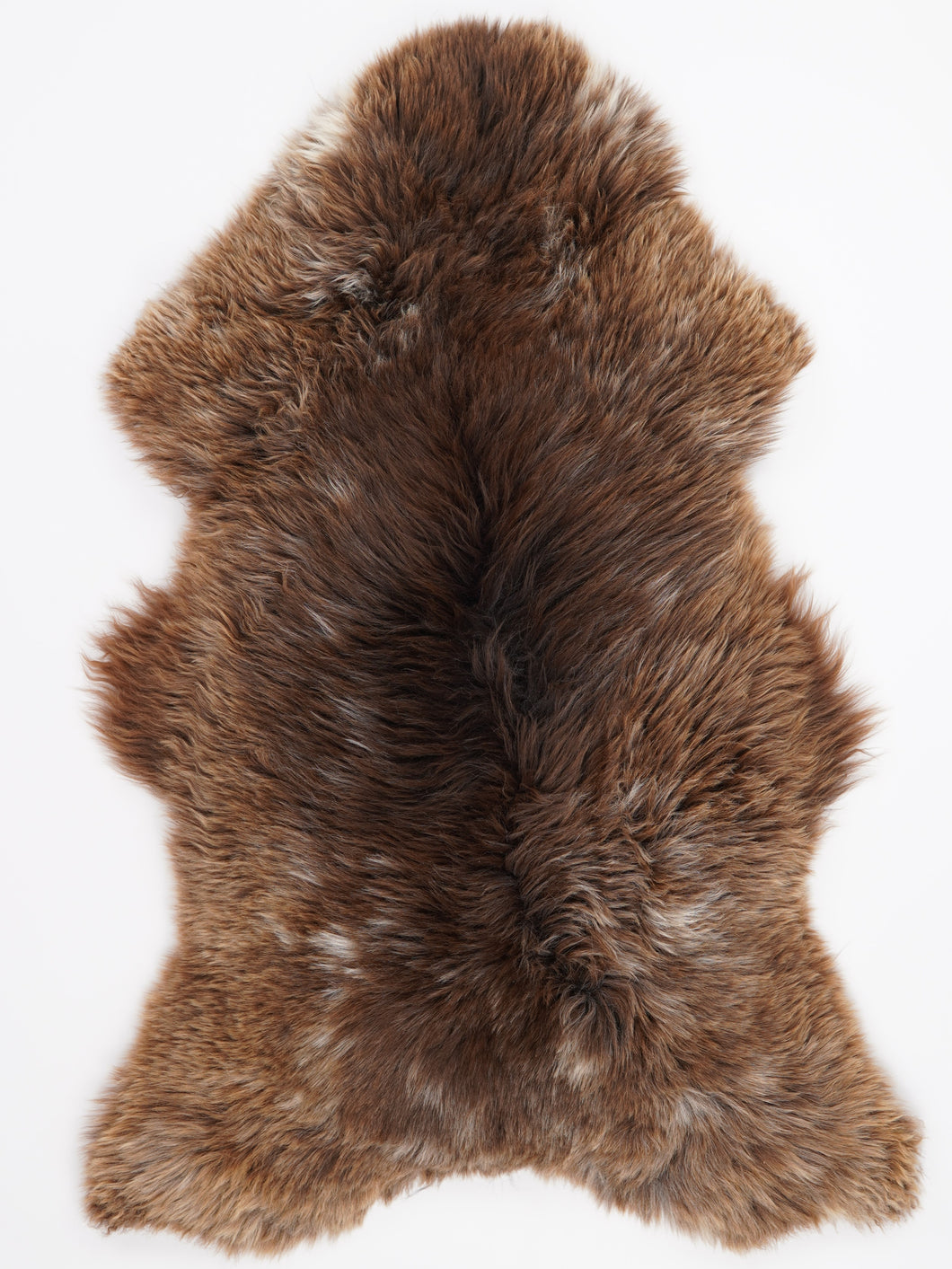 Įvairiaspalvis avikailis XL