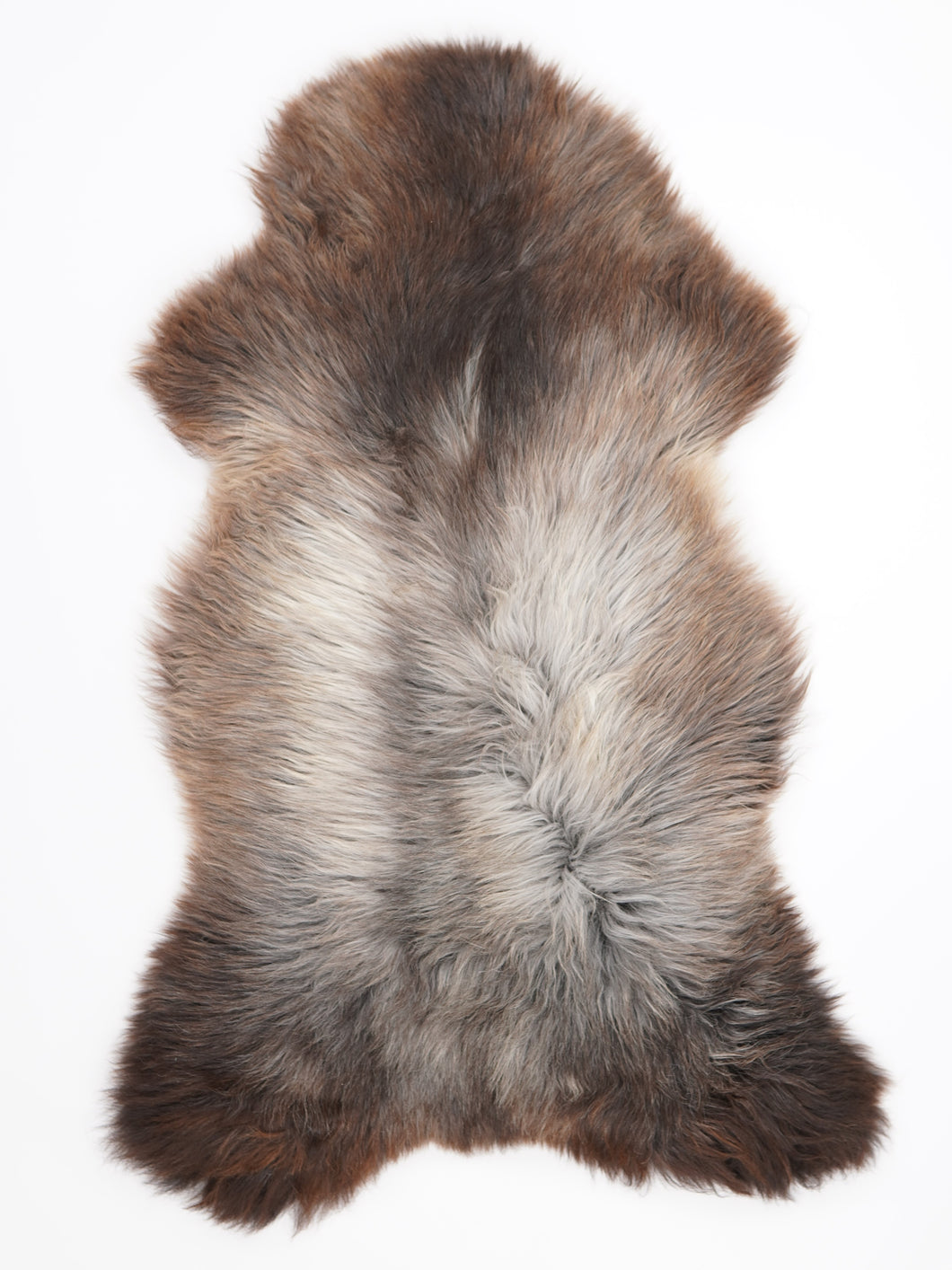 Įvairiaspalvis avikailis XL