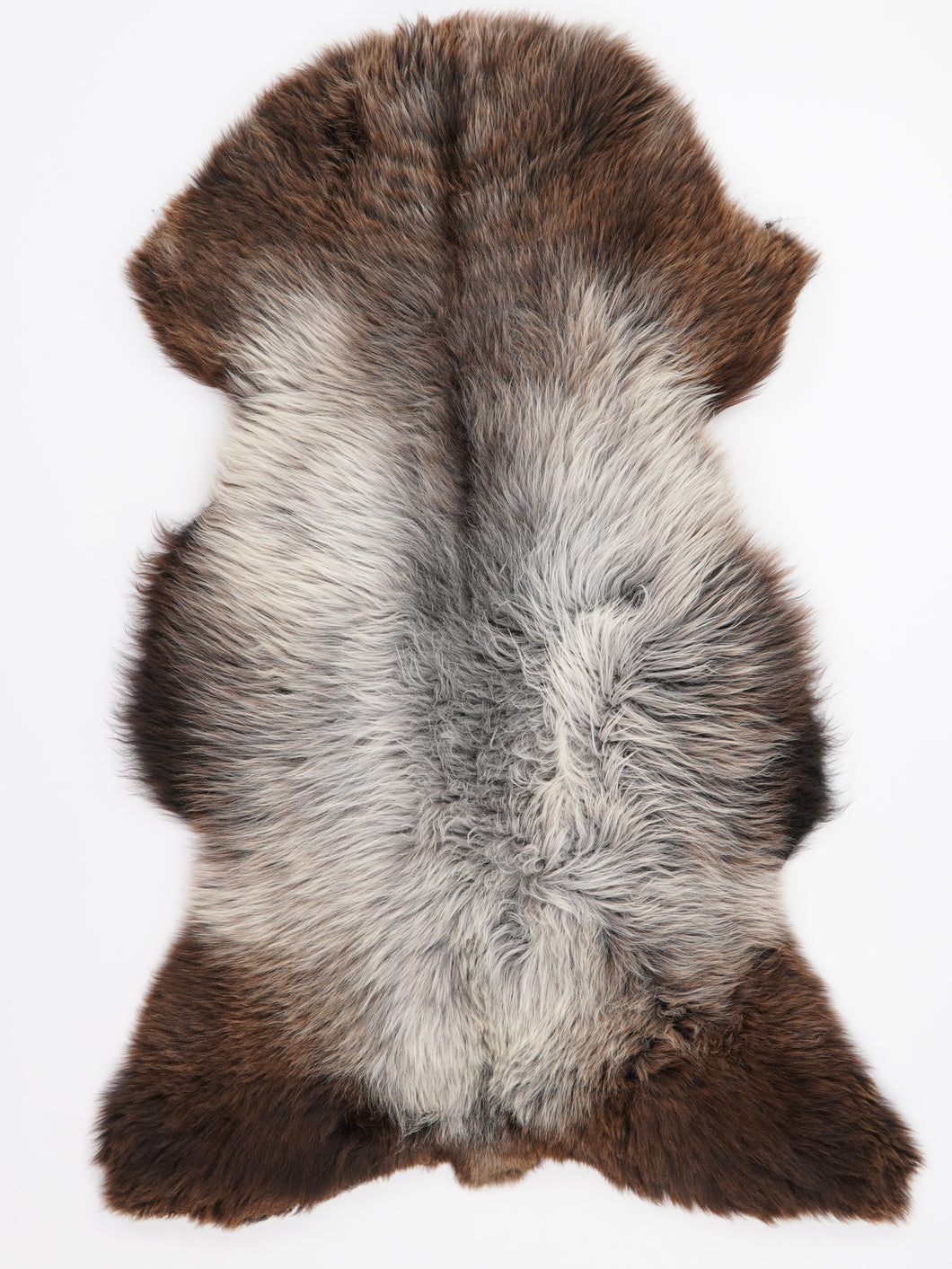 Įvairiaspalvis avikailis XL