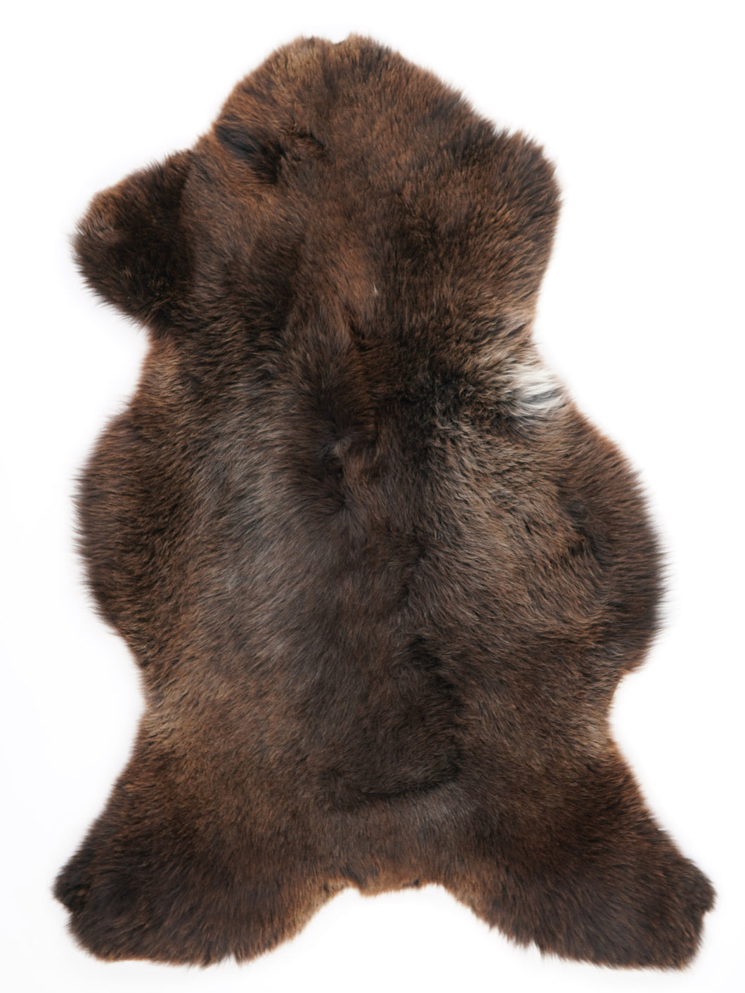 Įvairiaspalvis avikailis XL