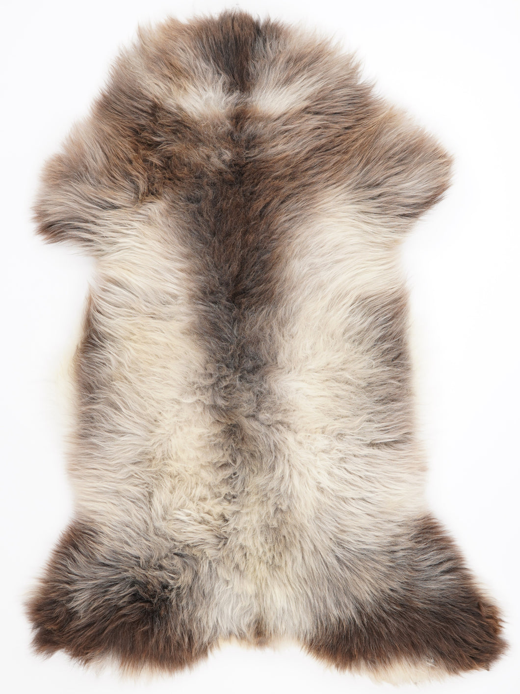 Įvairiaspalvis avikailis XL