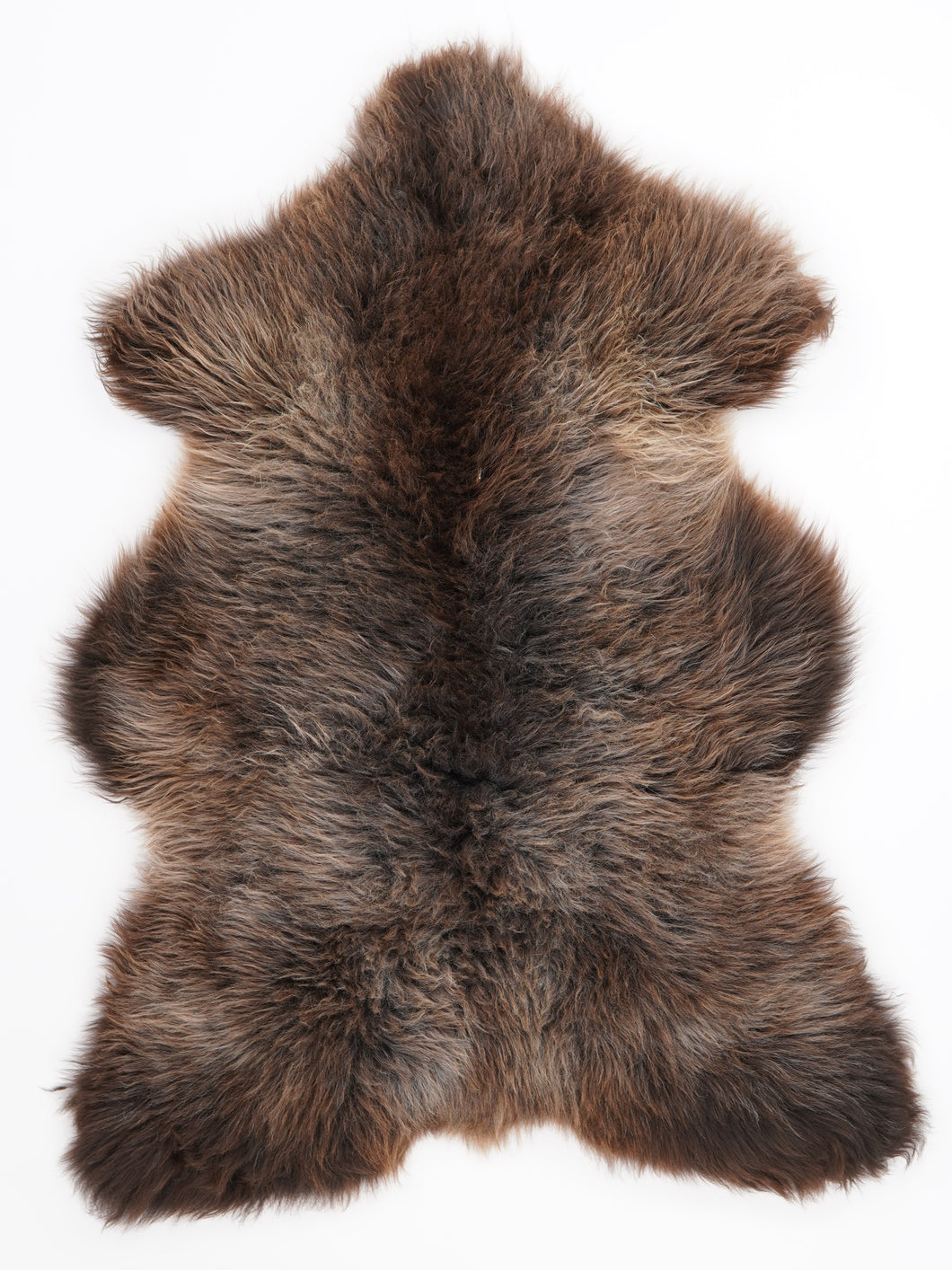 Įvairiaspalvis avikailis M