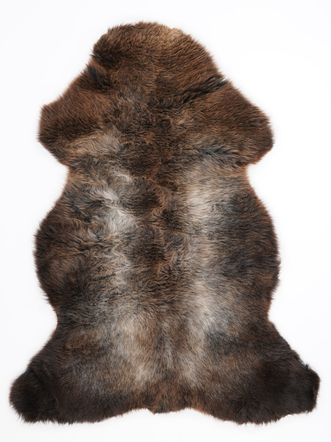 Įvairiaspalvis avikailis L