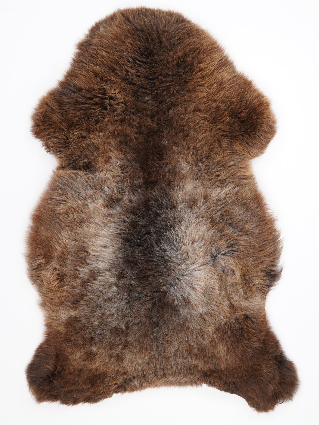 Įvairiaspalvis avikailis XL