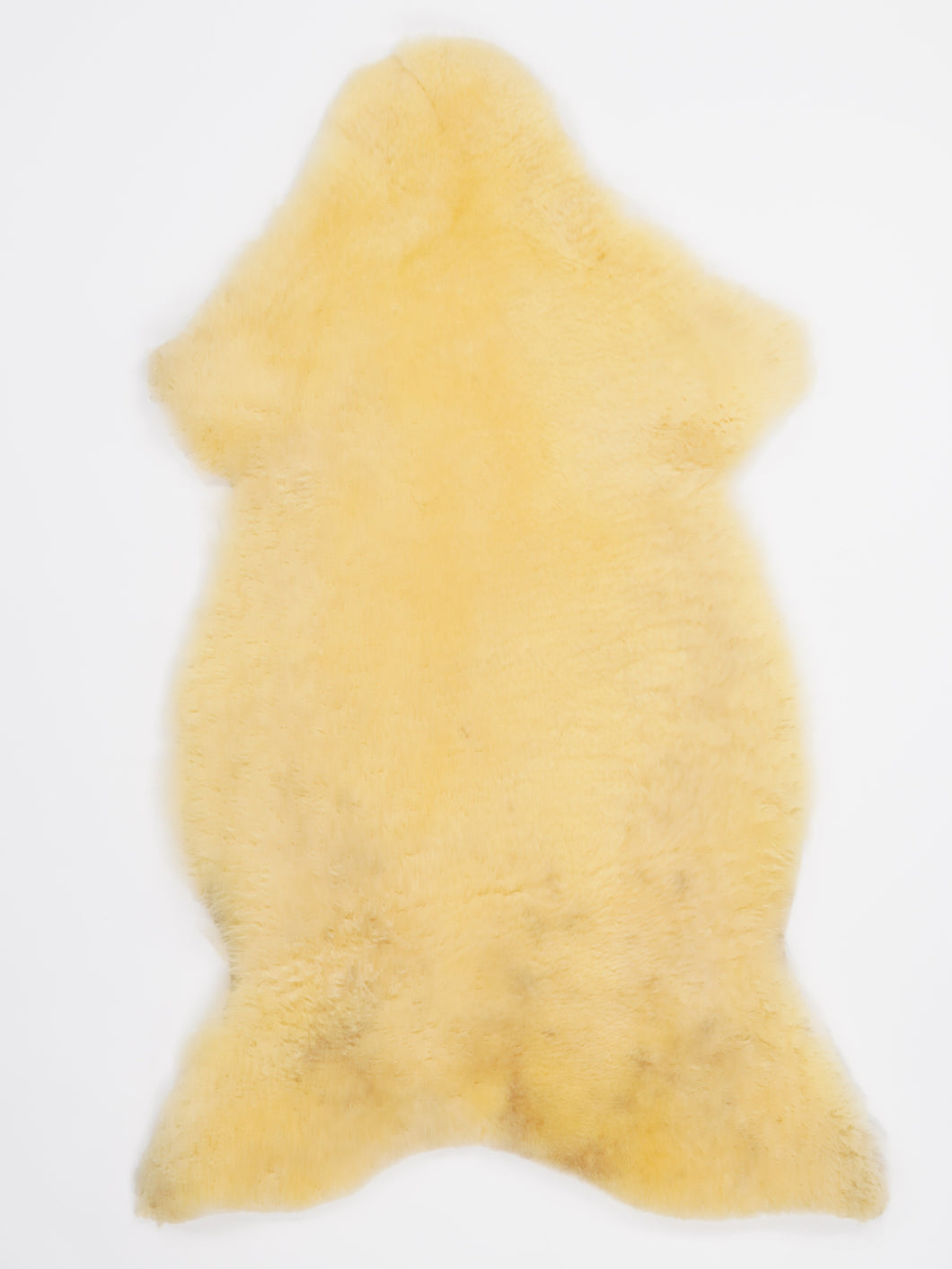 Medicininis avikailis XL (itin trumpi plaukai)