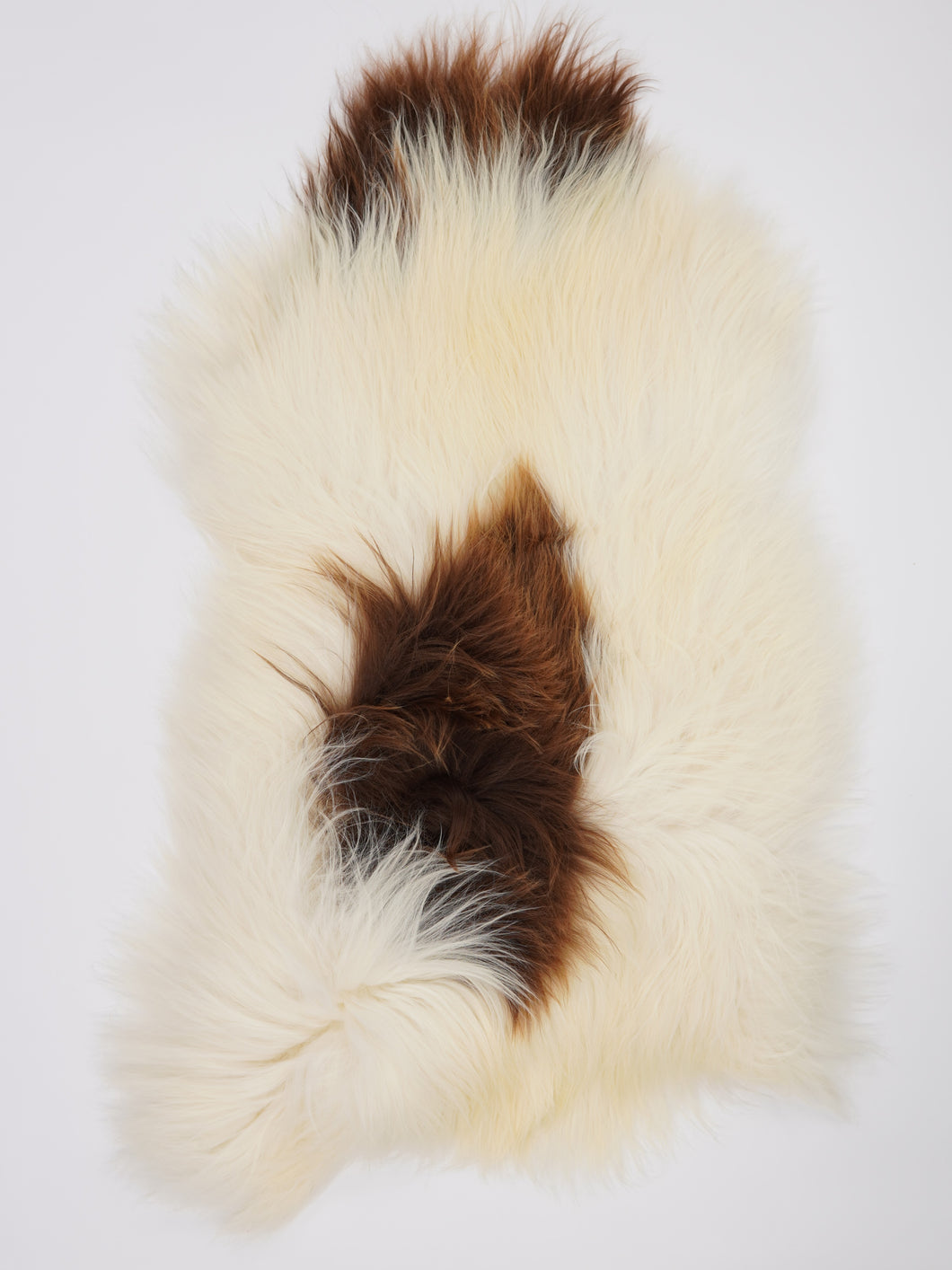 Islandská ovčí kůže XXL