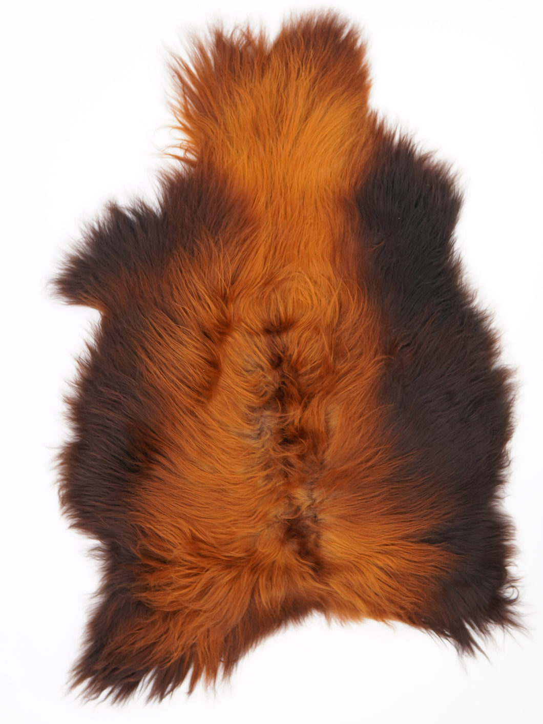 Islandská ovčí kůže „Rusty“ XL