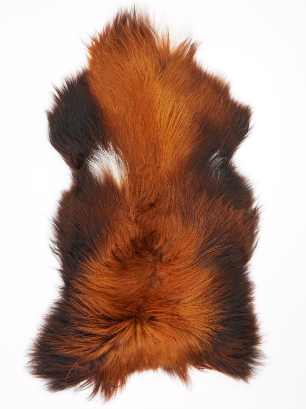 Islandská ovčí kůže „Rusty“ XL