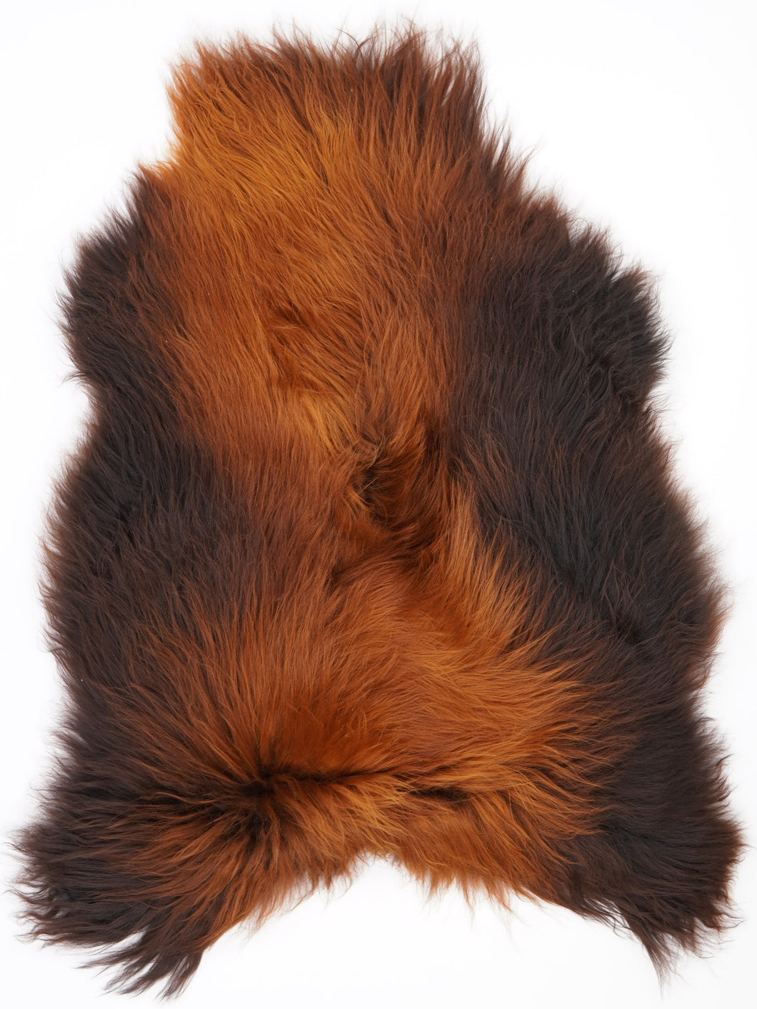 Islandská ovčí kůže „Rusty“ L