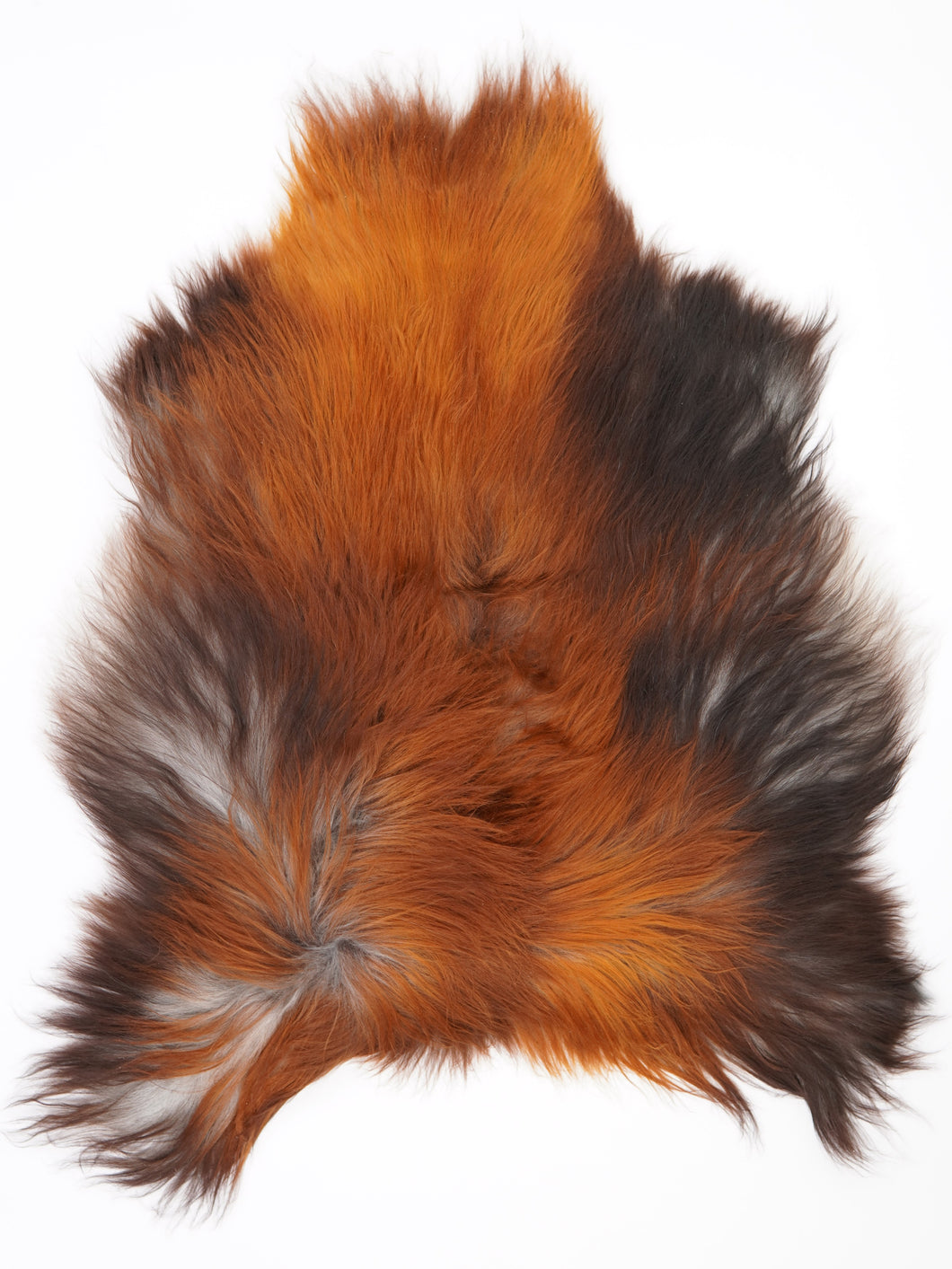 Islandská ovčí kůže „Rusty“ L