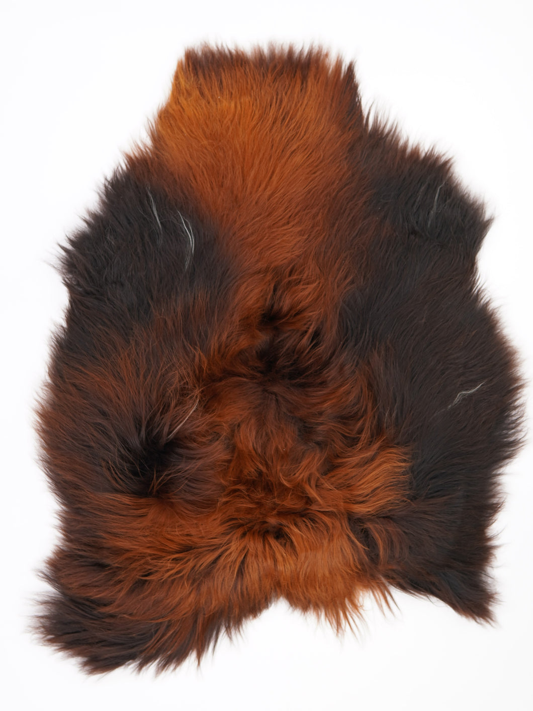 Islandská ovčí kůže „Rusty“ L