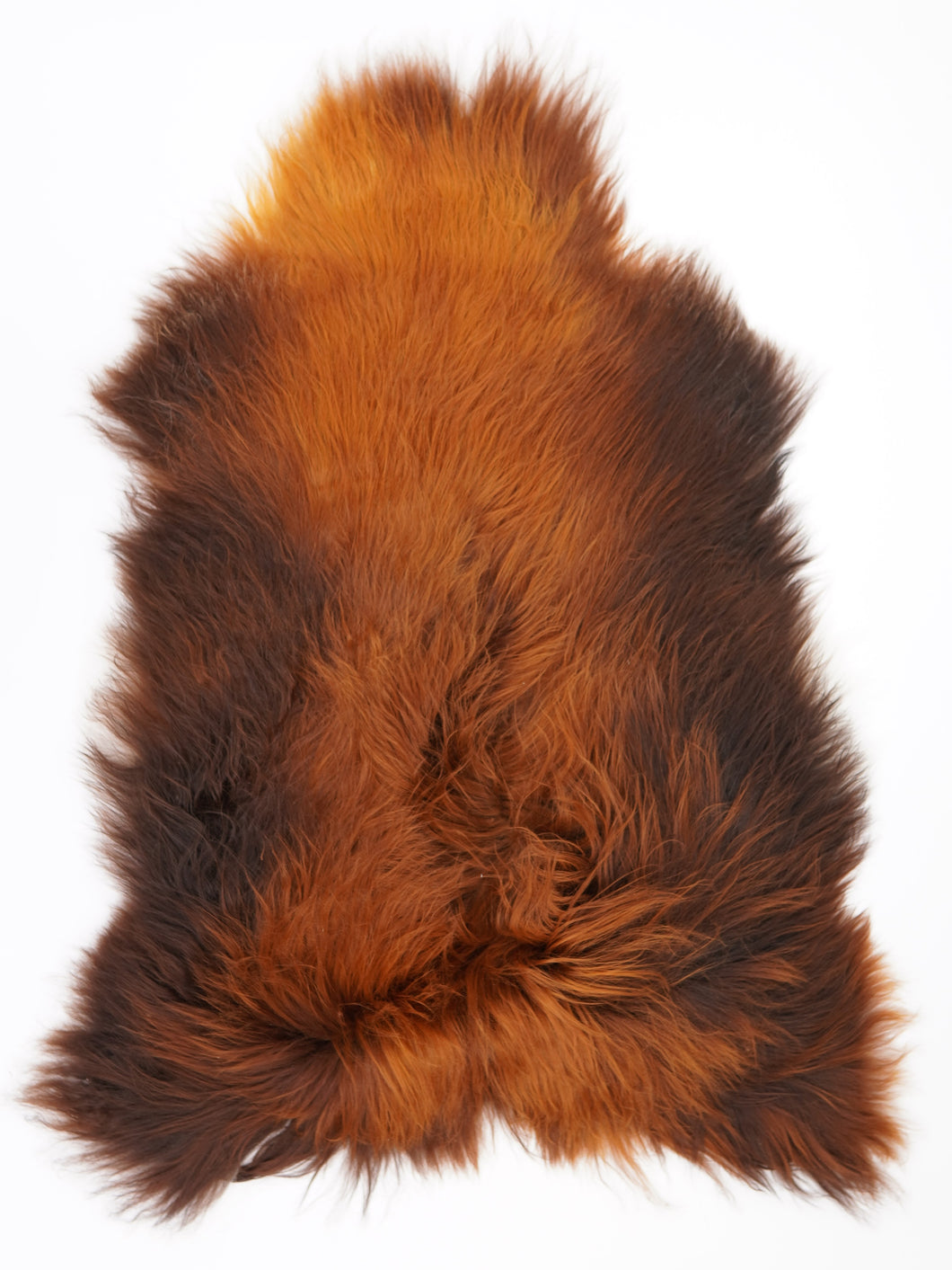 Islandská ovčí kůže „Rusty“ L