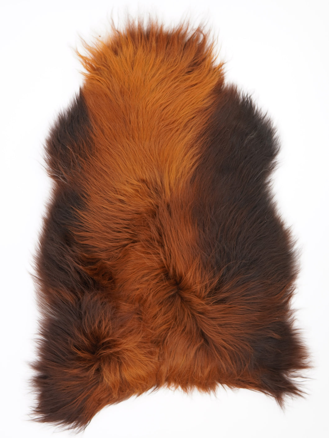 Islandská ovčí kůže „Rusty“ XL