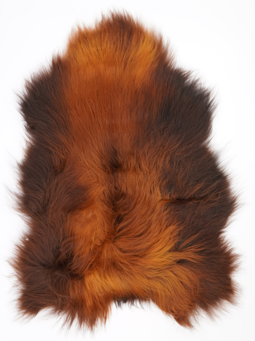 Islandská ovčí kůže „Rusty“ XL