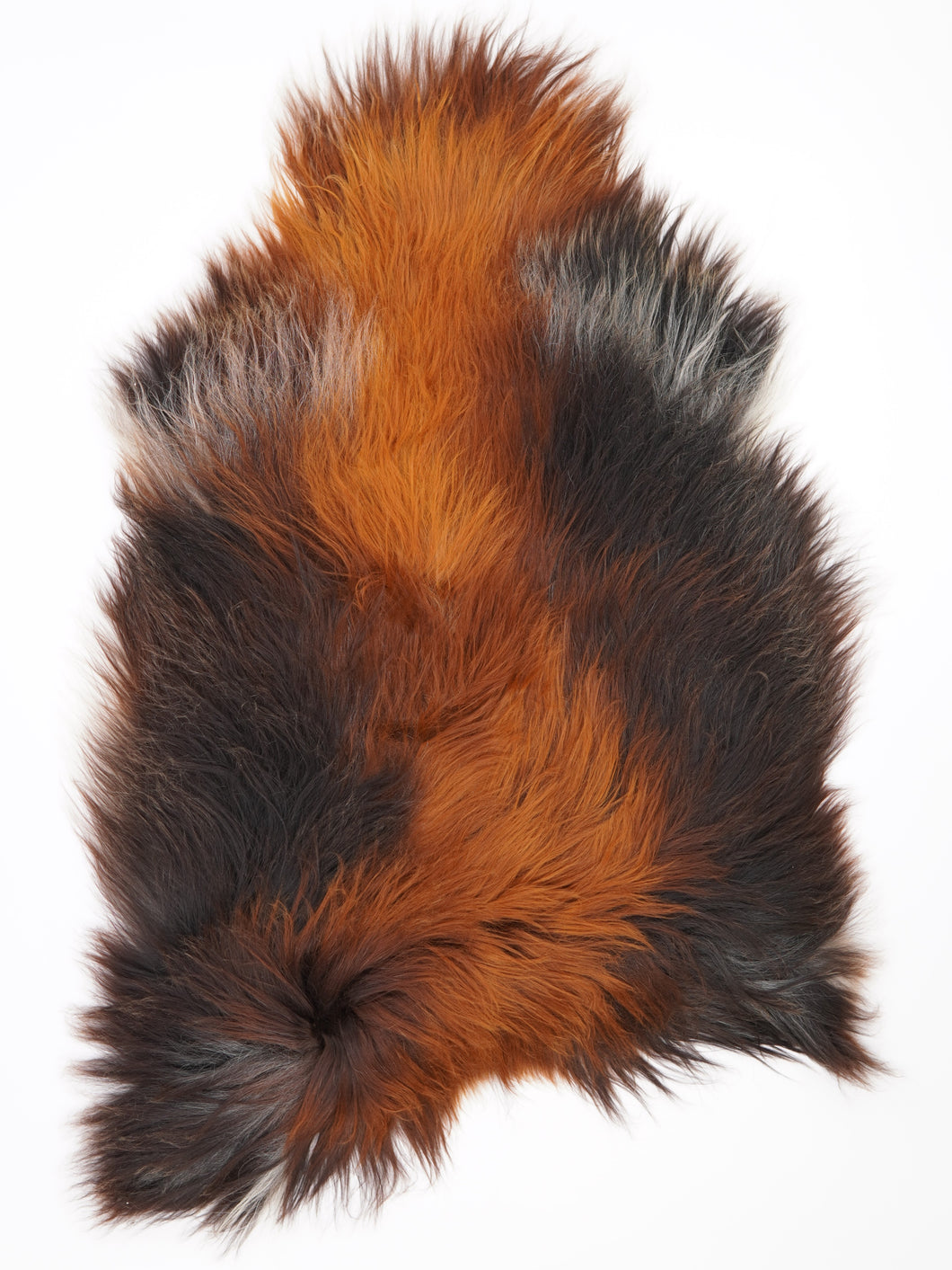 Islandská ovčí kůže „Rusty“ XXL