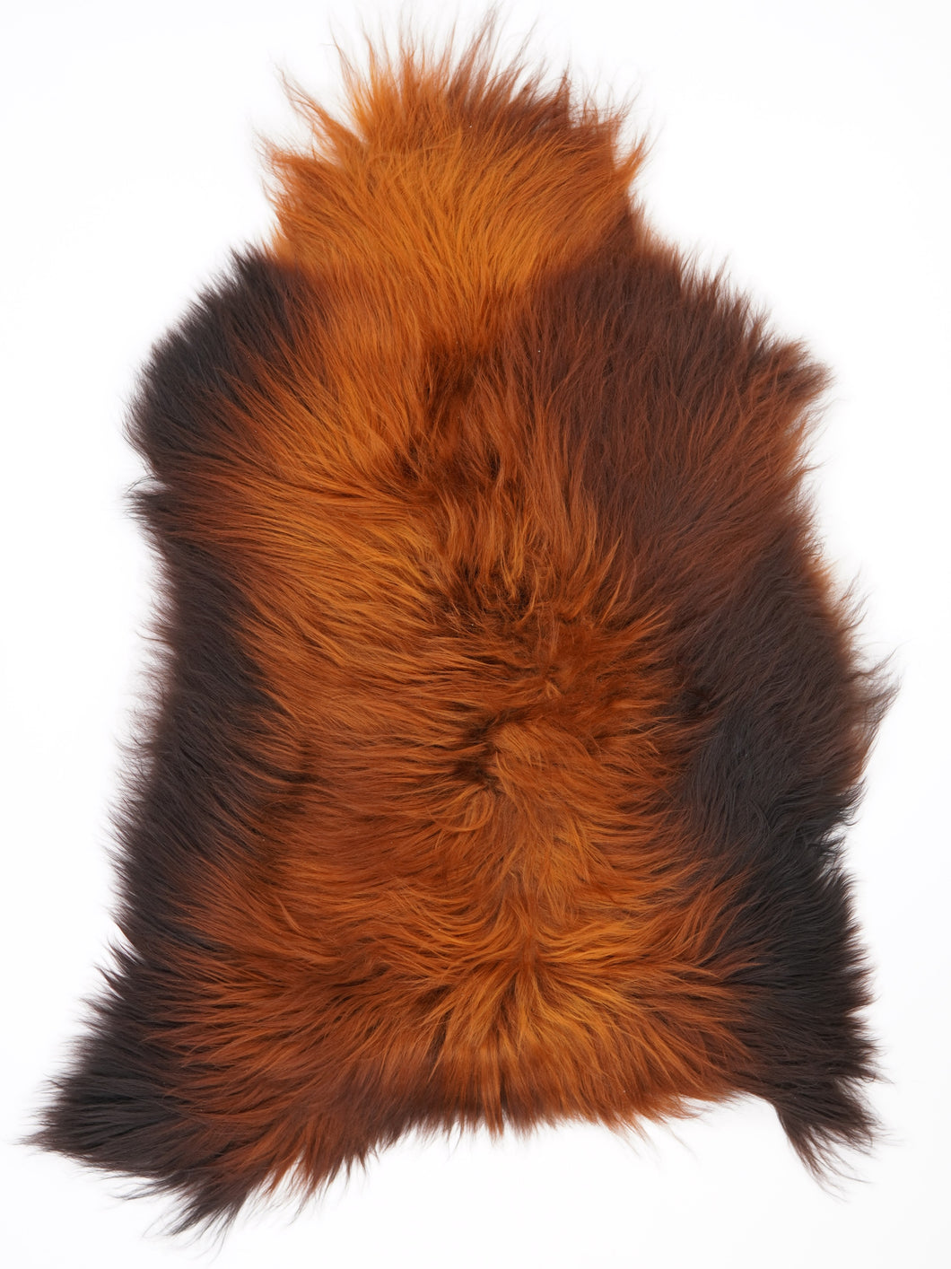 Islandská ovčí kůže „Rusty“ L