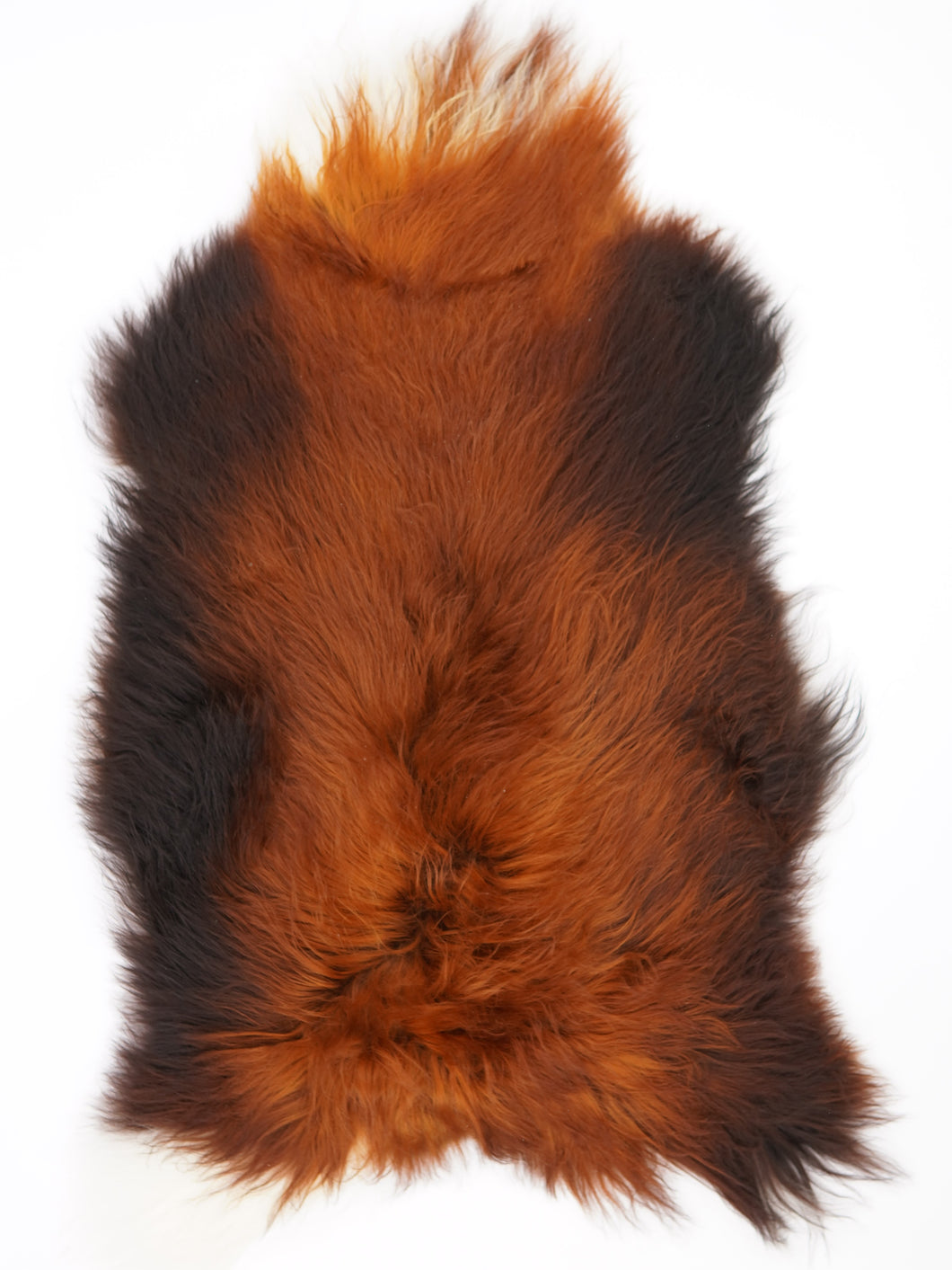 Islandská ovčí kůže „Rusty“ L