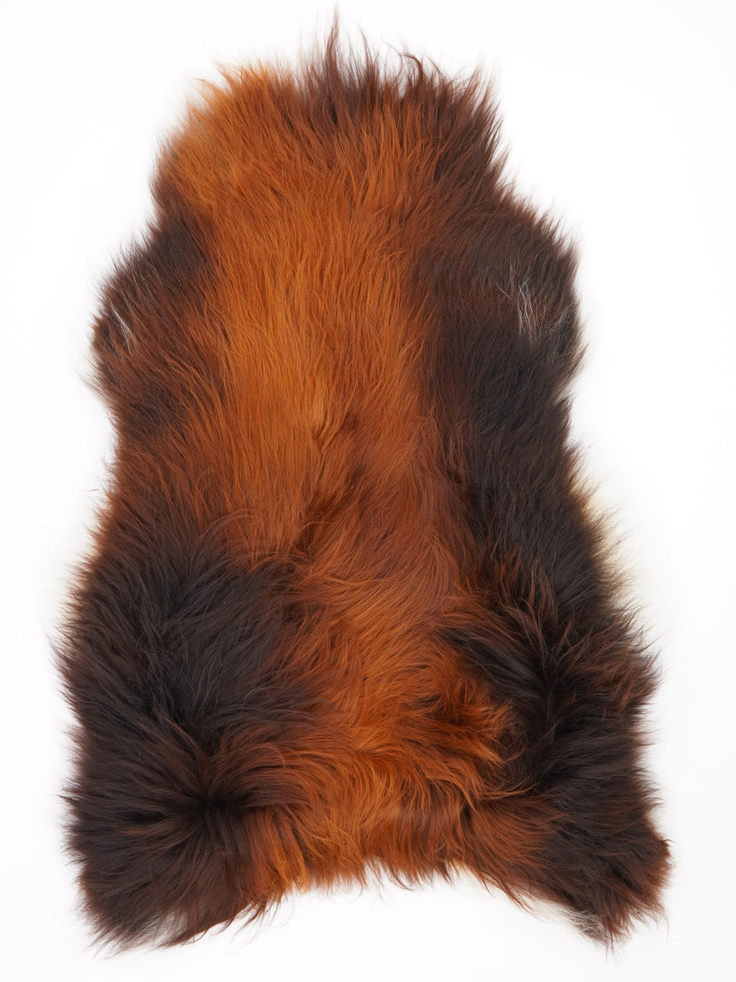 Islandská ovčí kůže „Rusty“ XL