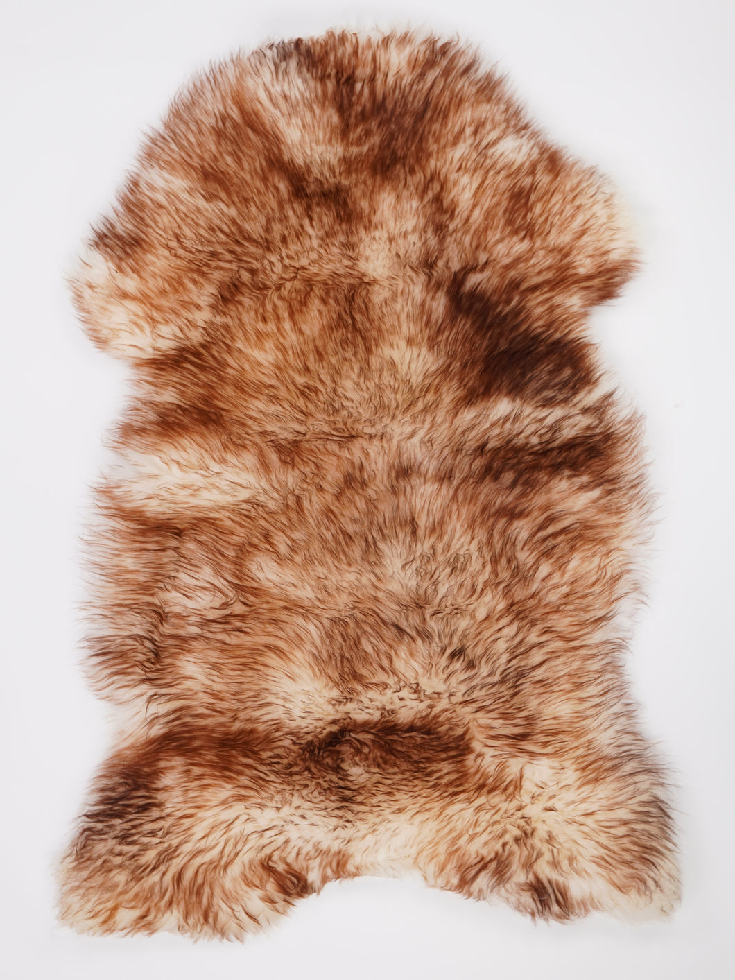 Muflono avikailis XXXL