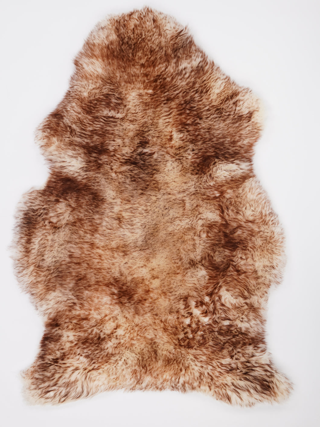 Muflono avikailis XXL