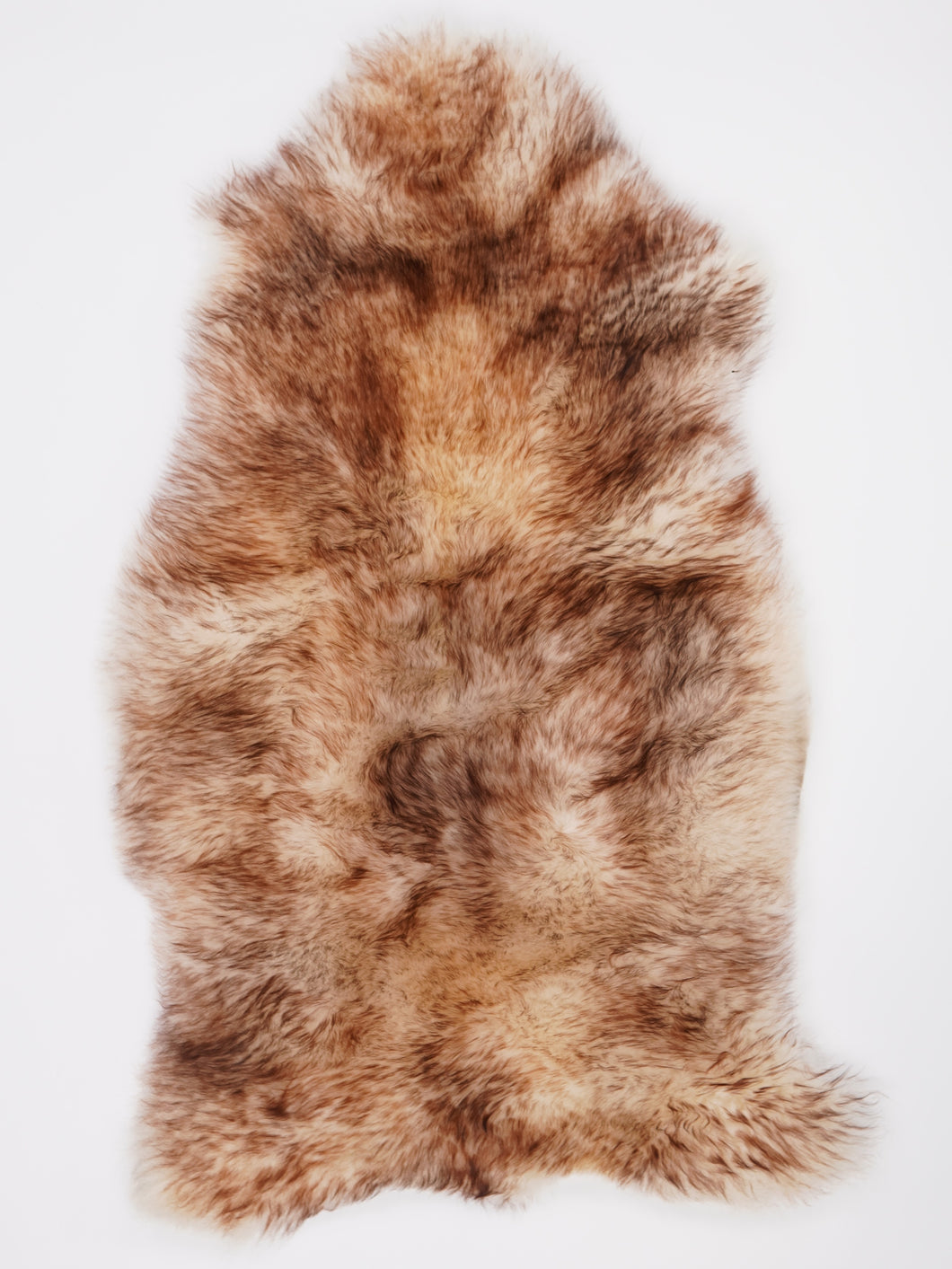 Muflono avikailis XL