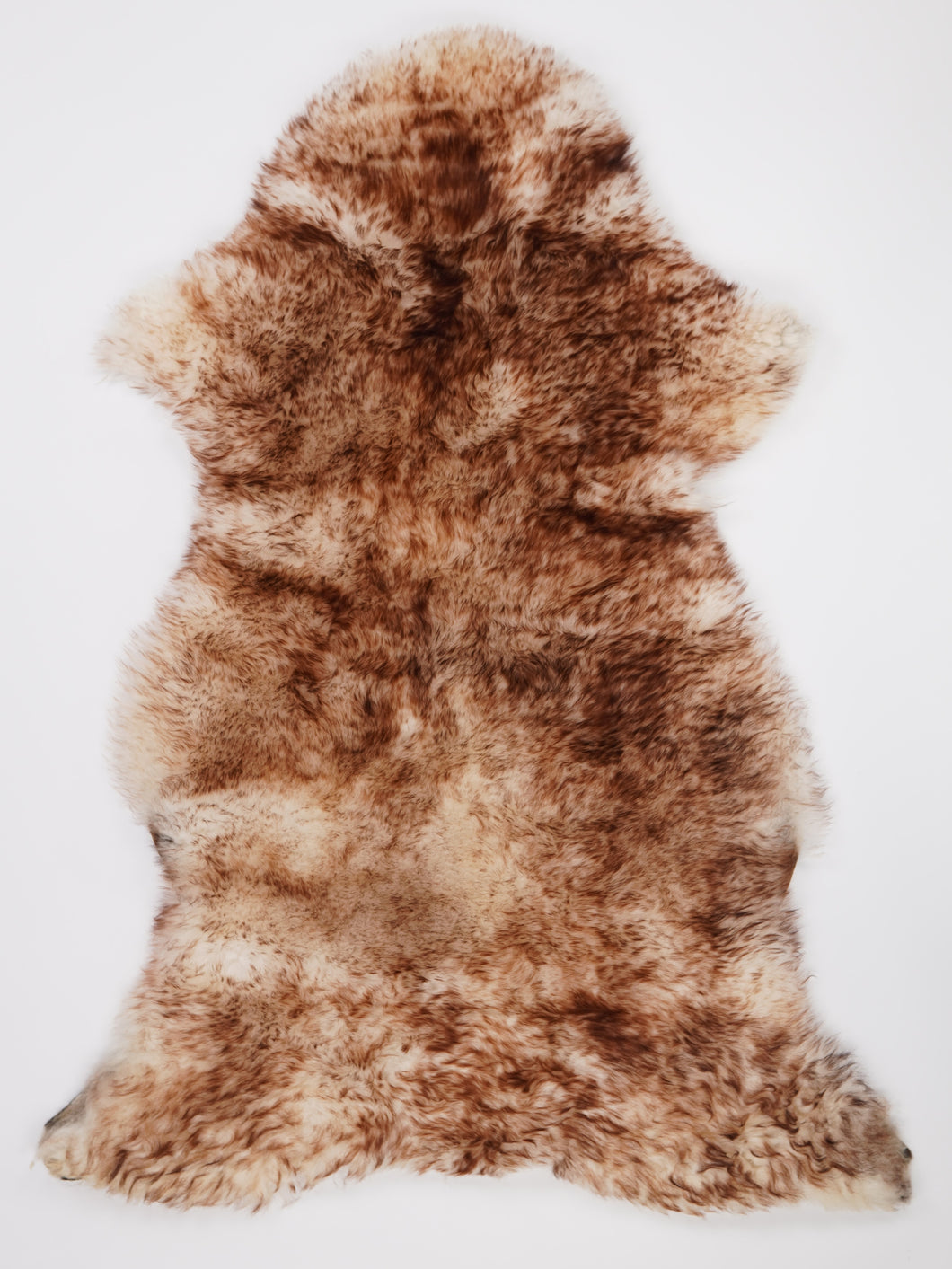 Muflono avikailis XXXL