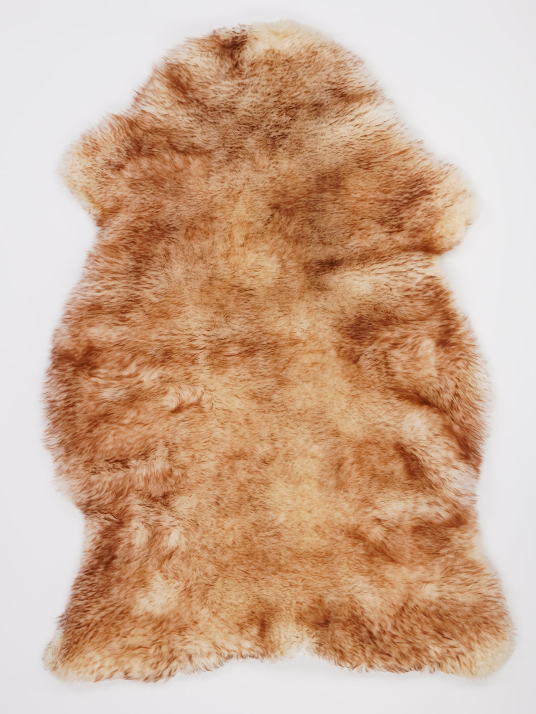 Muflono avikailis XL