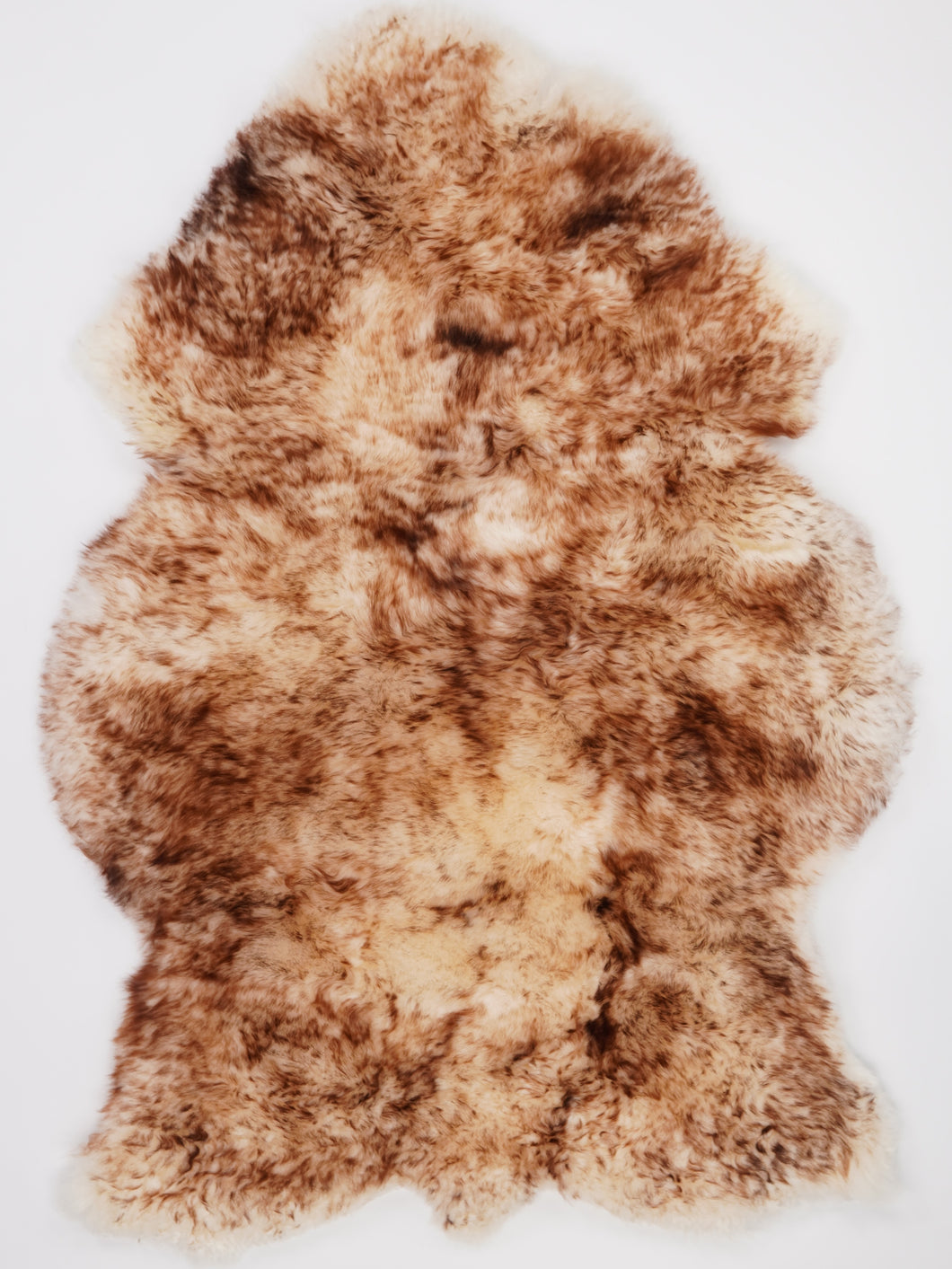 Muflono avikailis XXL