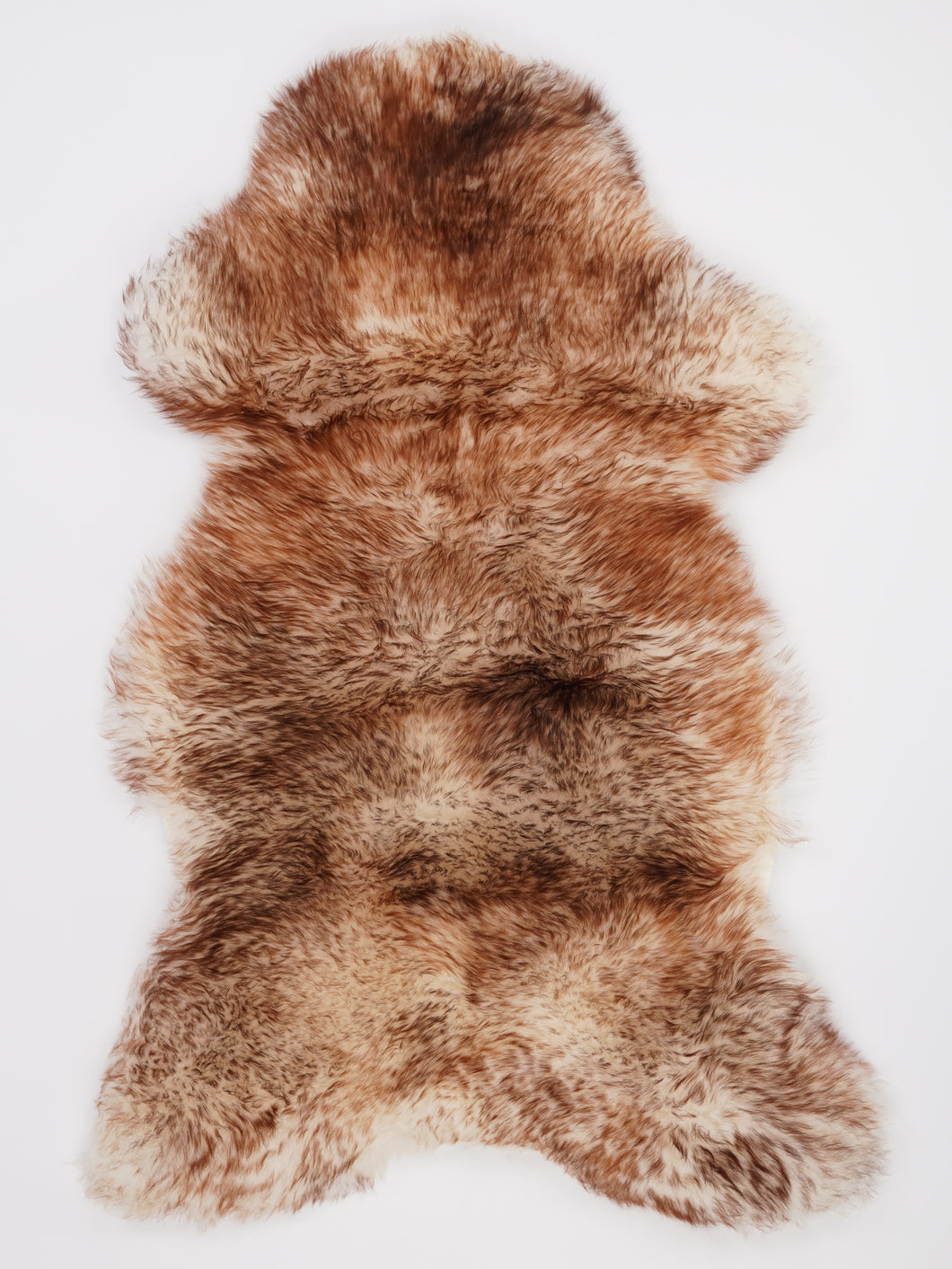 Muflono avikailis XL