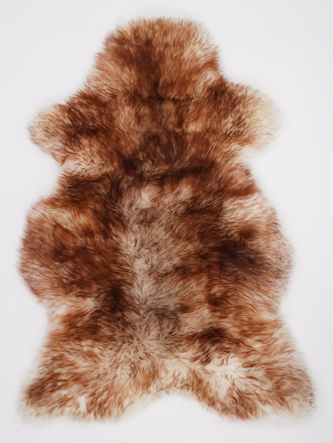 Muflono avikailis XL