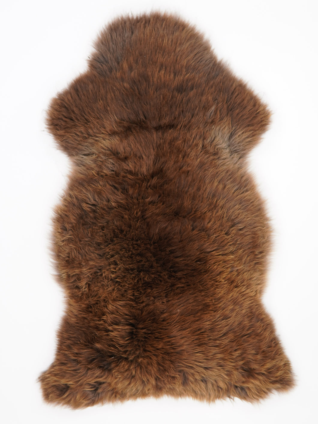 Įvairiaspalvis avikailis XL