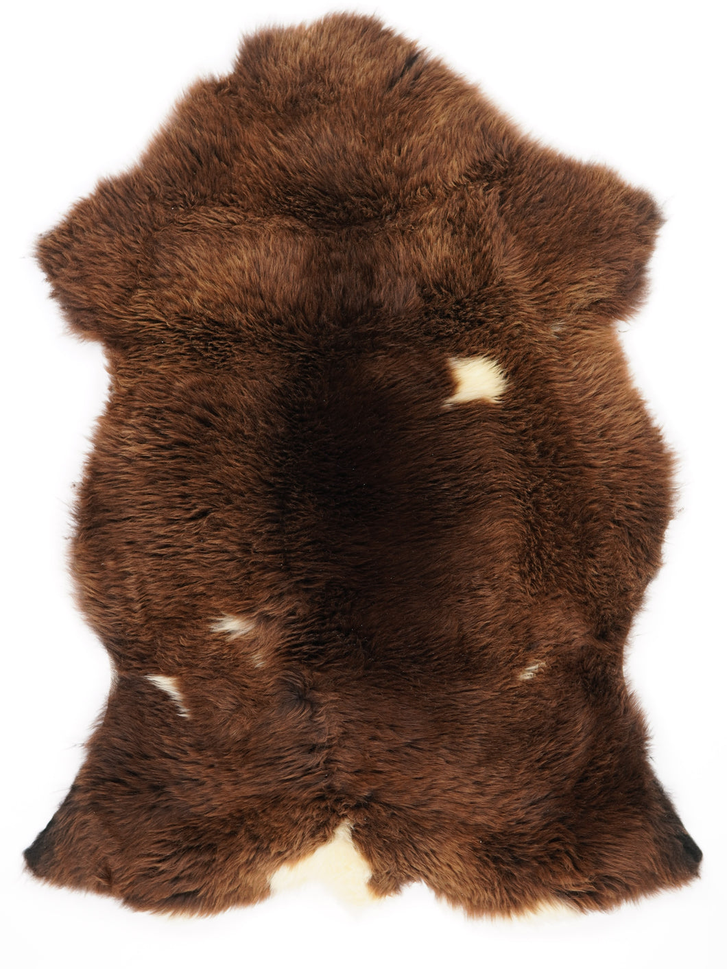 Įvairiaspalvis avikailis XL