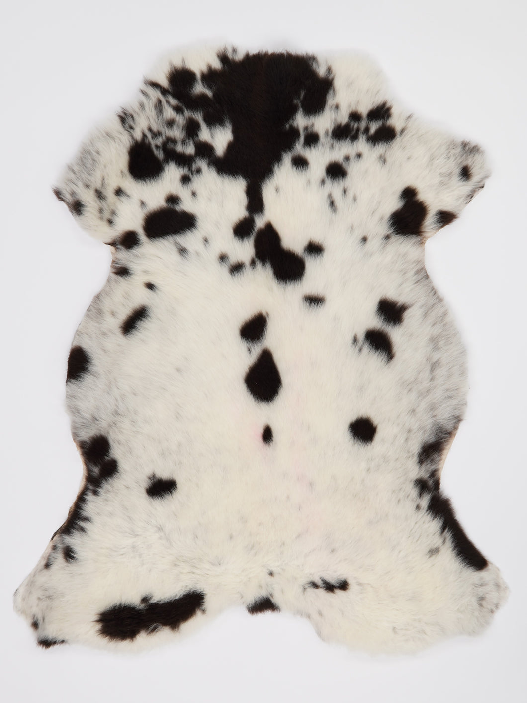 B klasės Vícebarevná ovčí kůže (itin trumpi plaukai) M