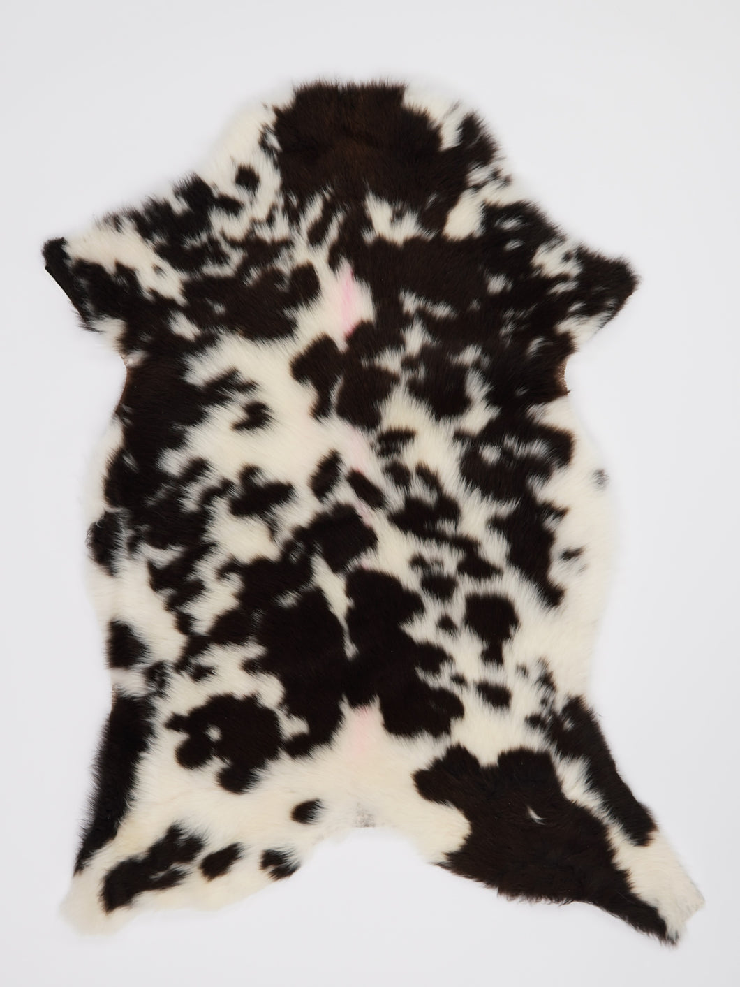 B klasės Vícebarevná ovčí kůže (itin trumpi plaukai) M