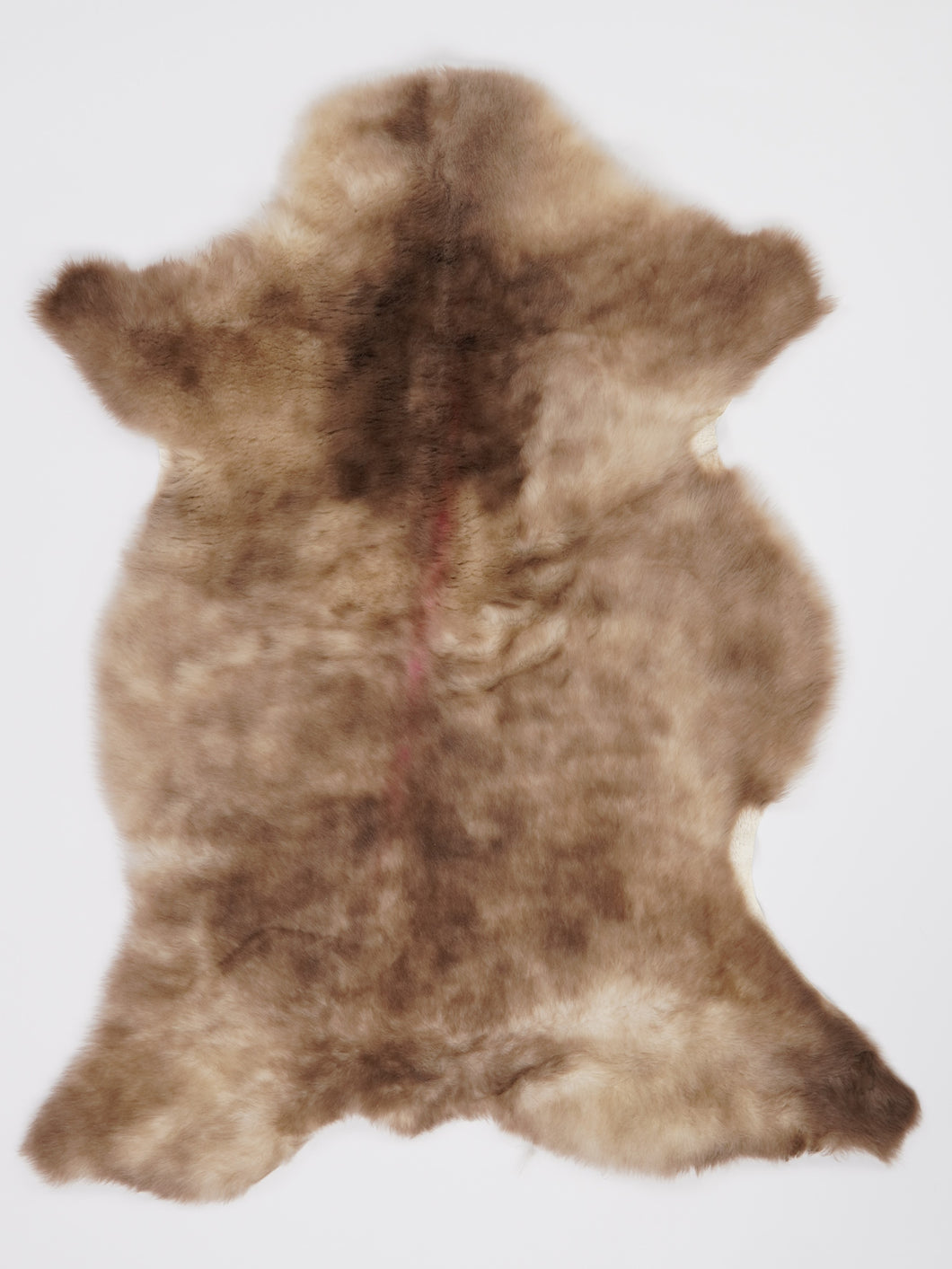 B klasės Vícebarevná ovčí kůže (itin trumpi plaukai) M