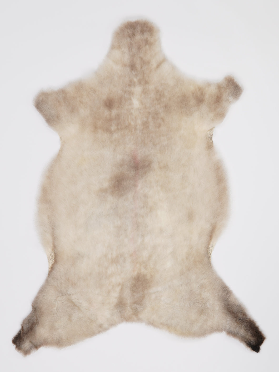 B klasės Vícebarevná ovčí kůže (itin trumpi plaukai) L