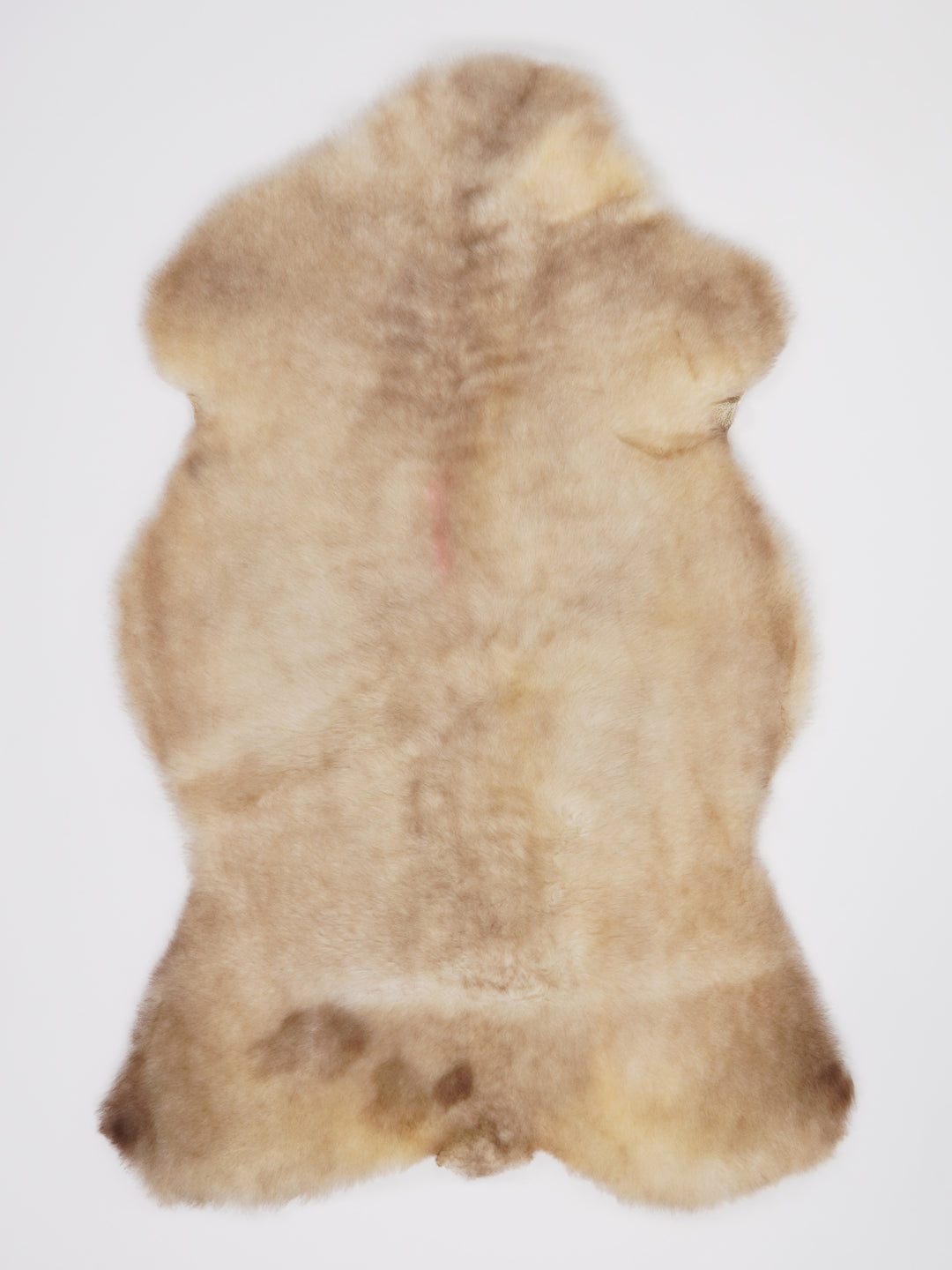 B klasės Vícebarevná ovčí kůže L